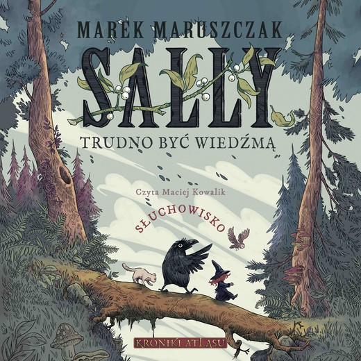 okładka Sally. Trudno być wiedźmą audiobook | MP3 | Maruszczak Marek