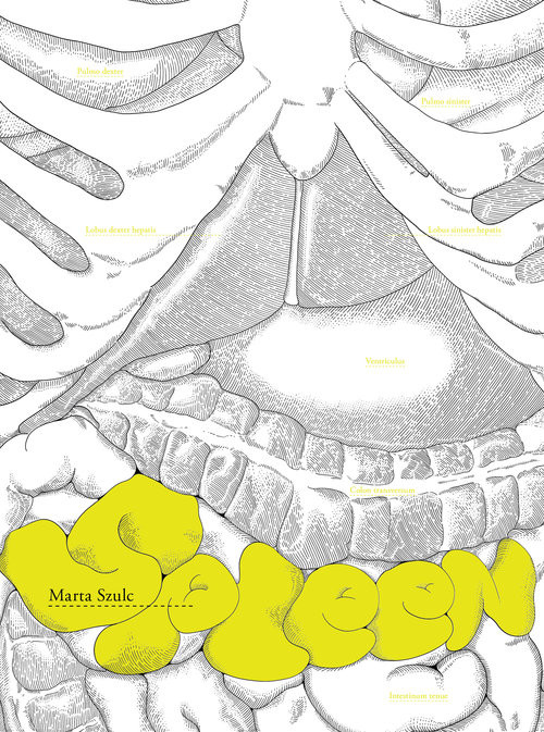 okładka Spleen książka | Szulc Marta