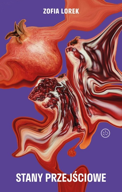 okładka Stany przejściowe książka