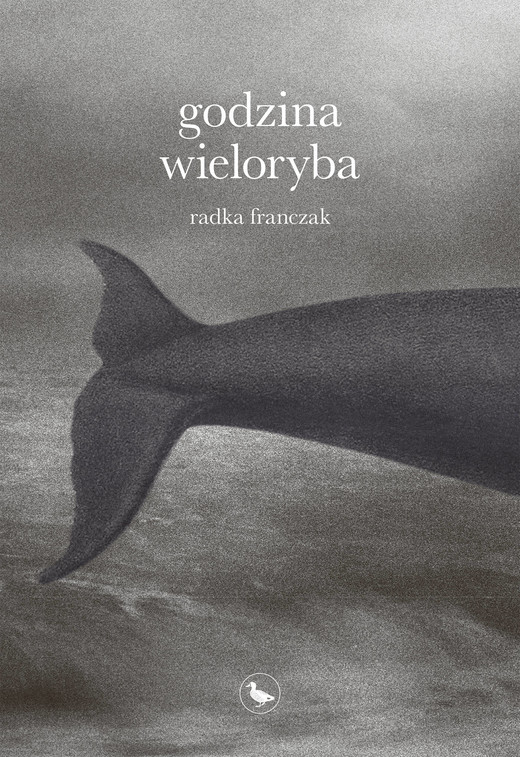 okładka Godzina wieloryba ebook | epub, mobi | Radka Franczak