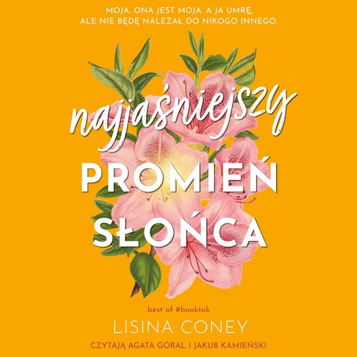 okładka Najjaśniejszy promień słońca audiobook | MP3 | Lisina Coney