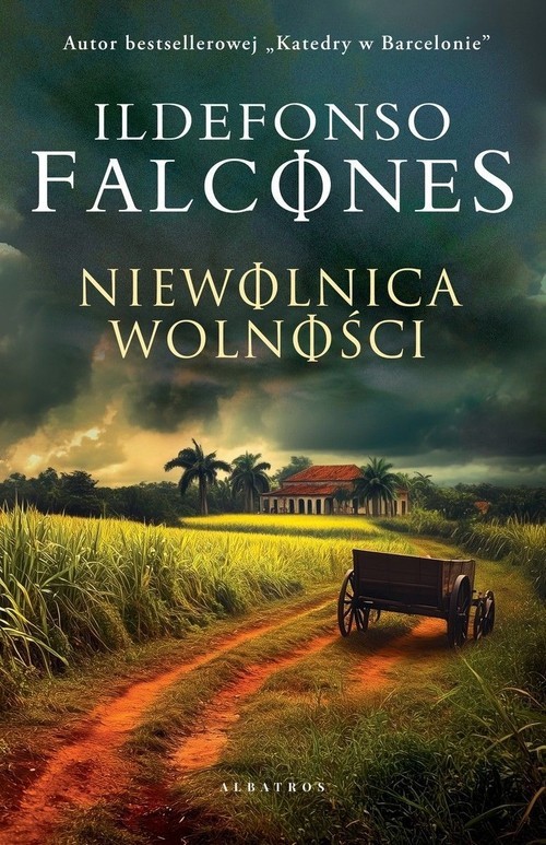 okładka Niewolnica wolności książka | Ildefonso Falcones