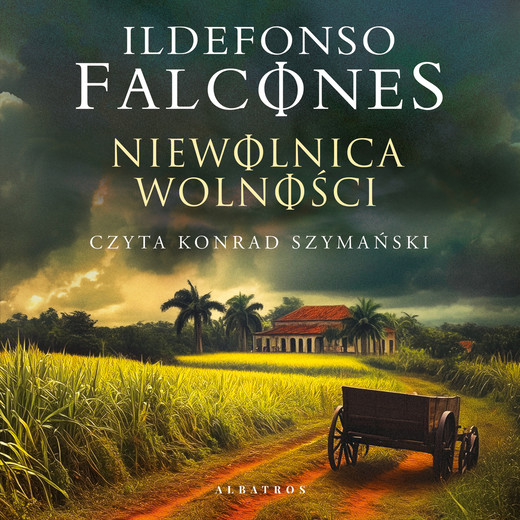 okładka Niewolnica wolności audiobook | MP3 | Ildefonso Falcones