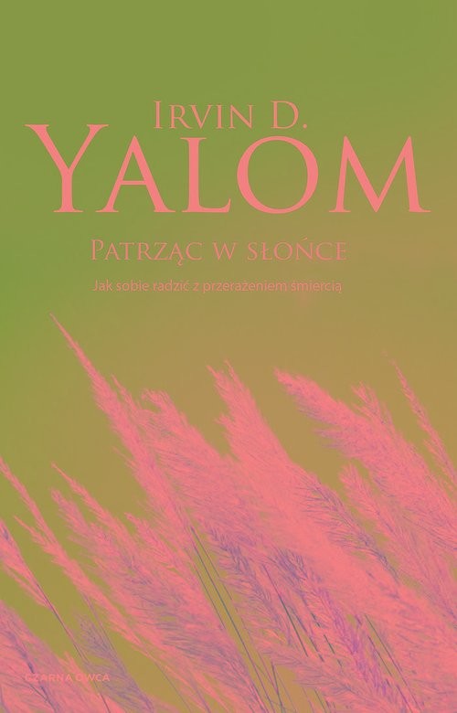 okładka Patrząc w słońce Jak sobie radzić z przerażeniem śmiercią książka | Irvin D. Yalom