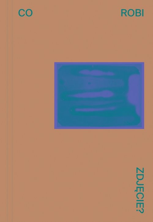 okładka Co robi zdjęcie? książka