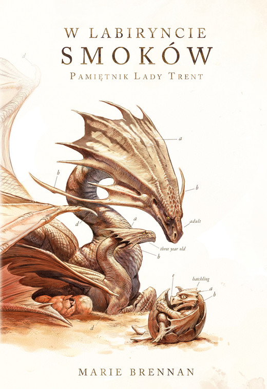 okładka W labiryncie smoków ebook | epub, mobi | Marie Brennan