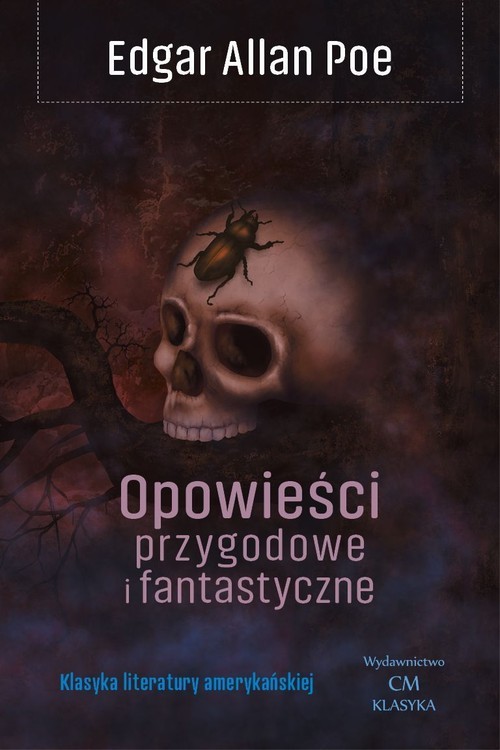 okładka Opowieści przygodowe i fantastyczne książka | Edgar Allan Poe