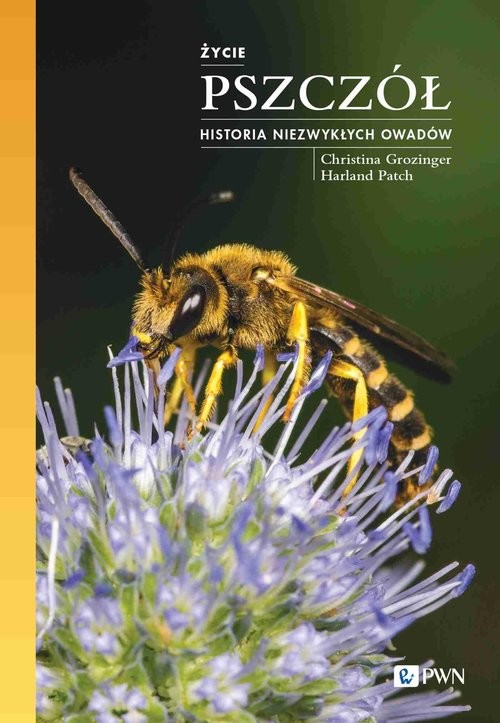 okładka Życie pszczół Historia niezwykłych owadów książka
