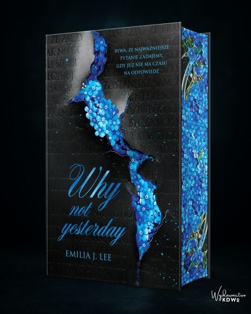 okładka Why Not Yesterday książka