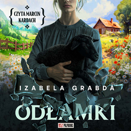 okładka Odłamki audiobook | MP3 | Izabela Grabda