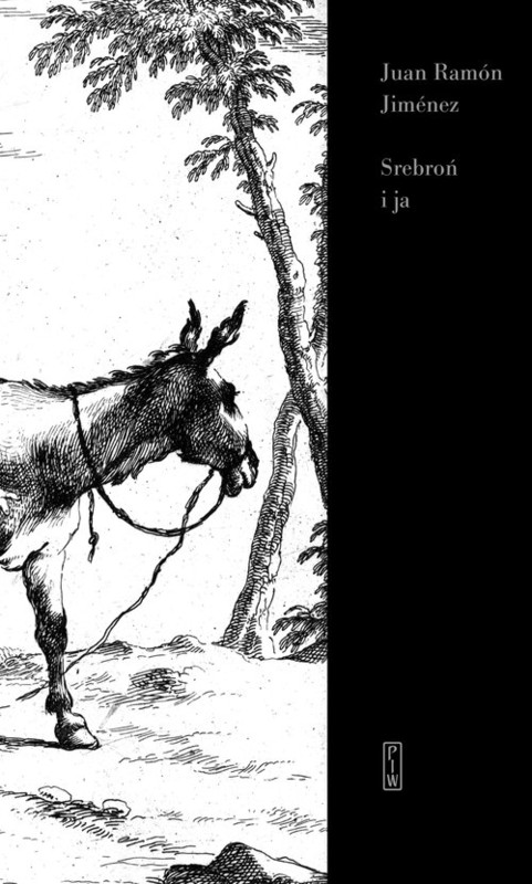 okładka Srebroń i ja książka