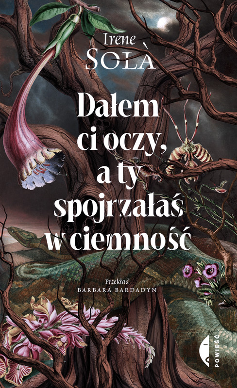 okładka Dałem ci oczy, a ty spojrzałaś w ciemność ebook | epub, mobi | Irene Solà