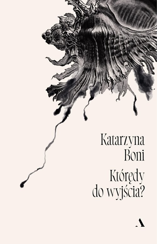 okładka Którędy do wyjścia? książka | Katarzyna Boni