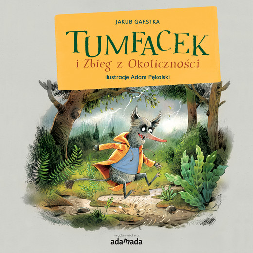 okładka Tumfacek i Zbieg z Okoliczności ebook | epub, mobi | Jakub Garstka