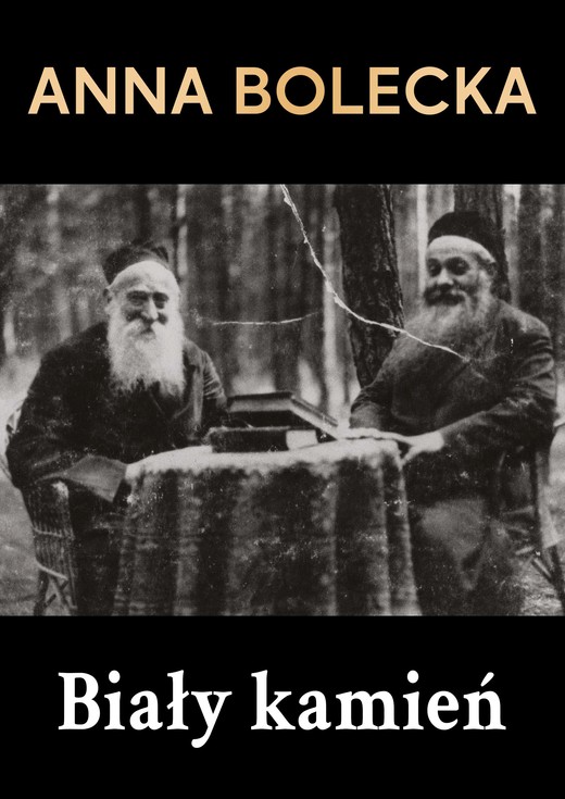 okładka Biały kamień ebook | epub, mobi, pdf | Anna Bolecka