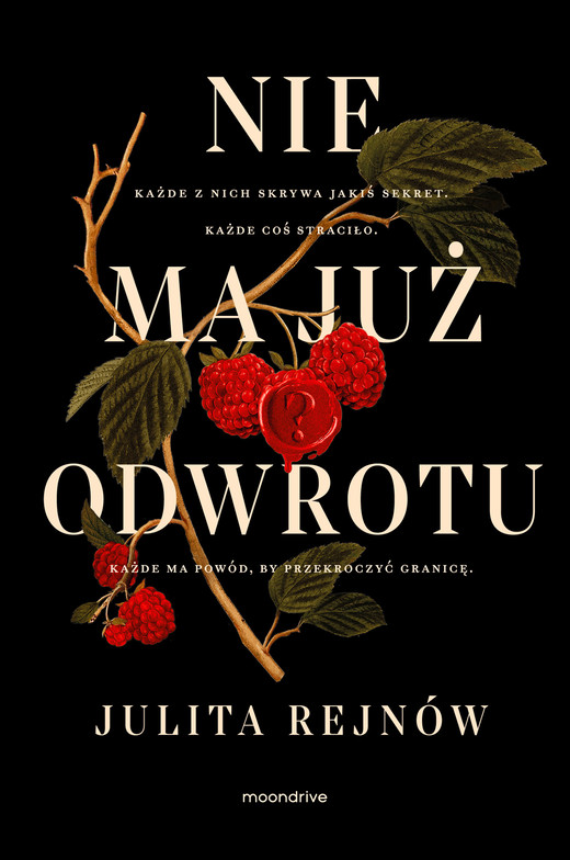 okładka Nie ma już odwrotu ebook | epub, mobi | Julita Rejnów