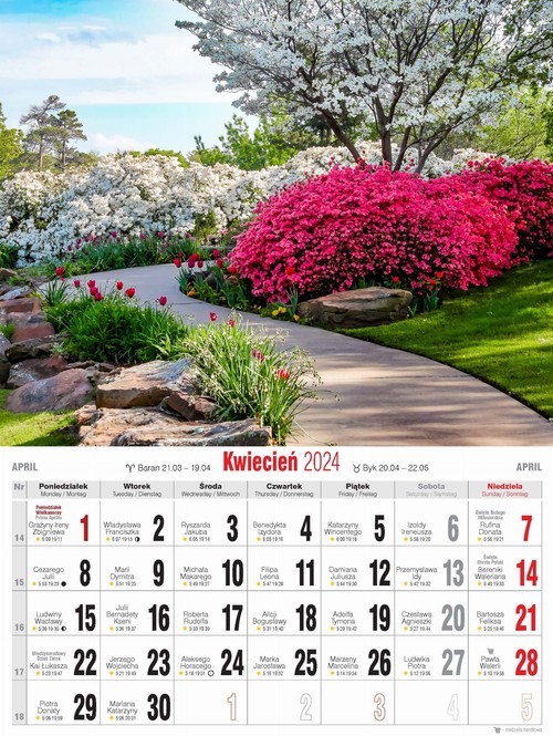 okładka Co głowa ubzdurała, lewa ręka nabazgrała książka | null null