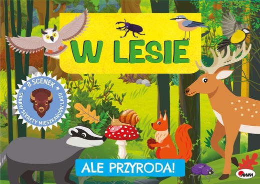 okładka W lesie. Ale przyroda książka | Opracowanie zbiorowe