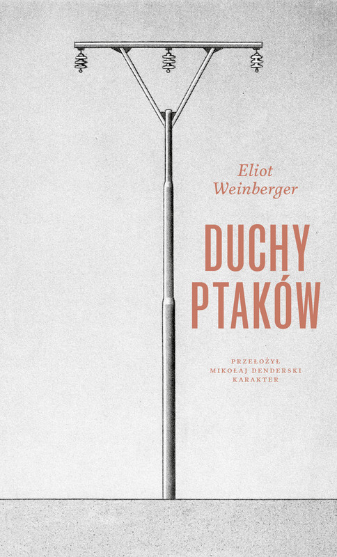 okładka Duchy ptaków książka | Eliot Weinberger