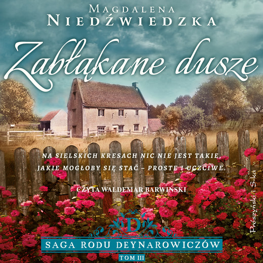 okładka Zabłąkane dusze audiobook | MP3 | Magdalena Niedźwiedzka