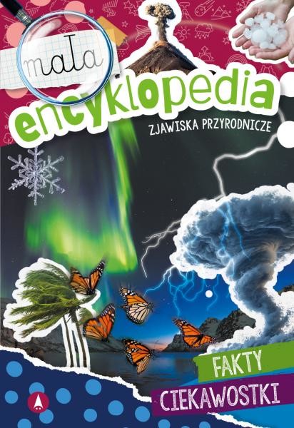 okładka Zjawiska przyrodnicze. Mała encyklopedia książka | Ślizowska Monika