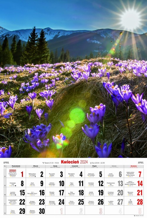 okładka Oblężenie Warszawy. Powieść historyczna z końca XVIII w. książka | Walery Przyborowski