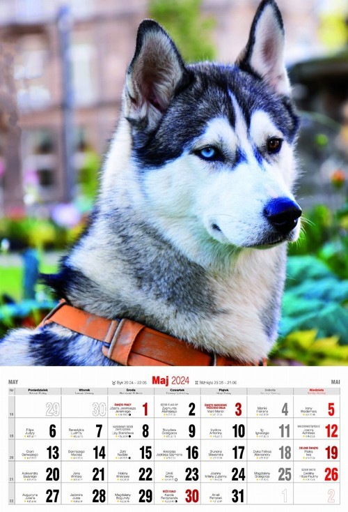 okładka Szepty wielkich murów książka | Smoke Hannibal