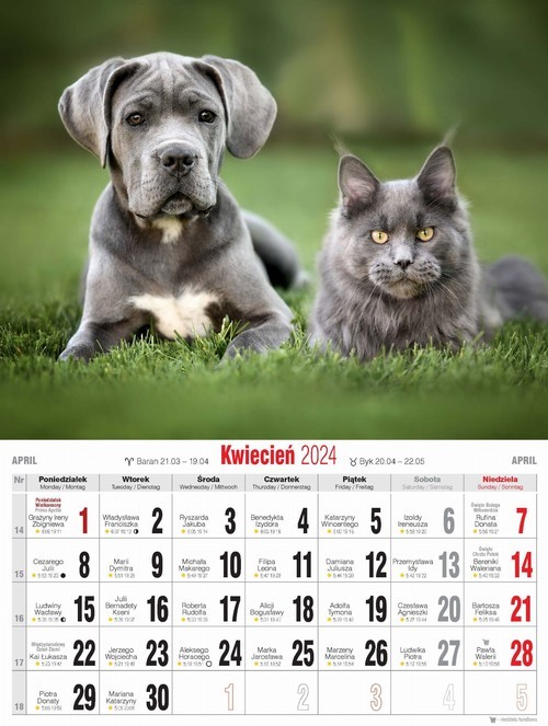 okładka Furby. Zagraj ze mną! Zabawy futrzaków książka | null null