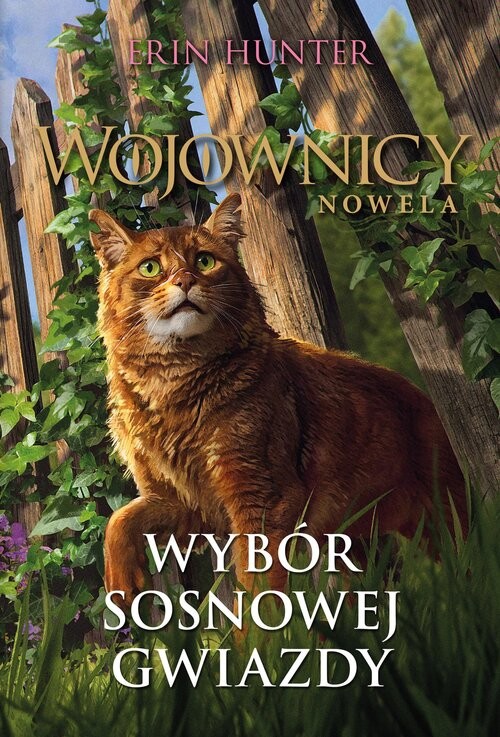 okładka Wybór Sosnowej Gwiazdy książka | Erin Hunter