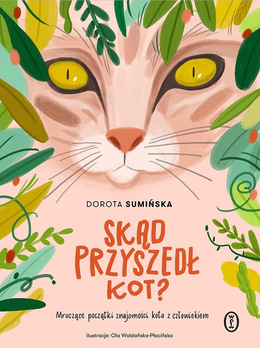 okładka Skąd przyszedł kot? książka