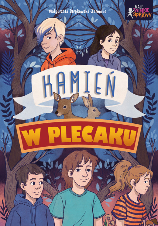 okładka Kamień w plecaku. Małe wielkie sprawy książka | Małgorzata Strękowska-Zaremba