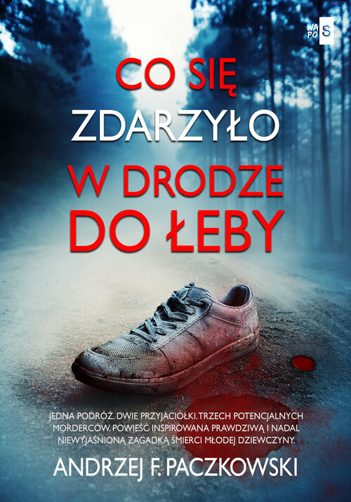 okładka Co się zdarzyło w drodze do Łeby Wielkie Litery książka | Andrzej Paczkowski