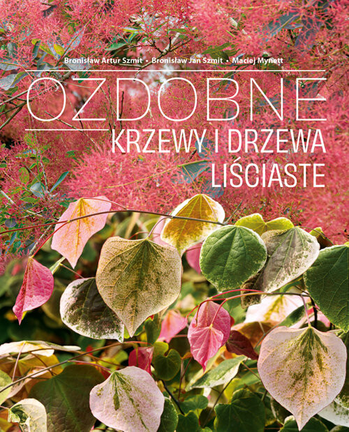 okładka Ozdobne krzewy i drzewa liściaste książka | Maciej Mynett