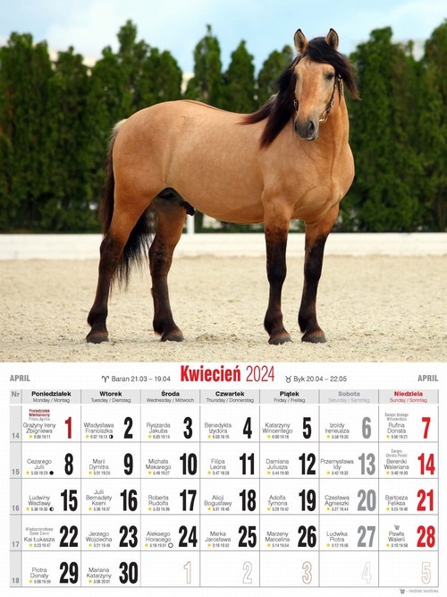 okładka Zabawy z Felusiem i Guciem. W podróży książka | null null