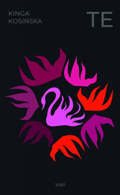 okładka Te książka | Kosińska Kinga