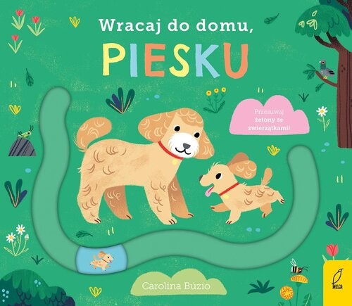 okładka Wracaj do domu piesku książka