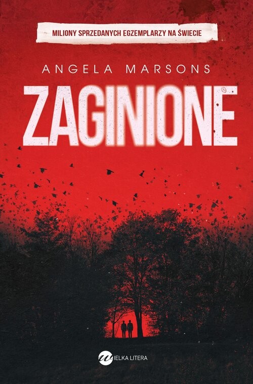 okładka Zaginione książka | Angela Marsons