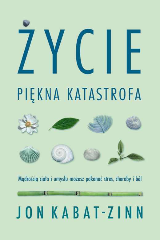 okładka Życie, piękna katastrofa ebook | epub, mobi | Jon Kabat-Zinn
