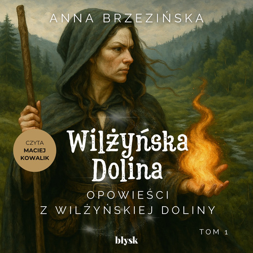 okładka Opowieści z Wilżyńskiej Doliny audiobook | MP3 | Anna Brzezińska