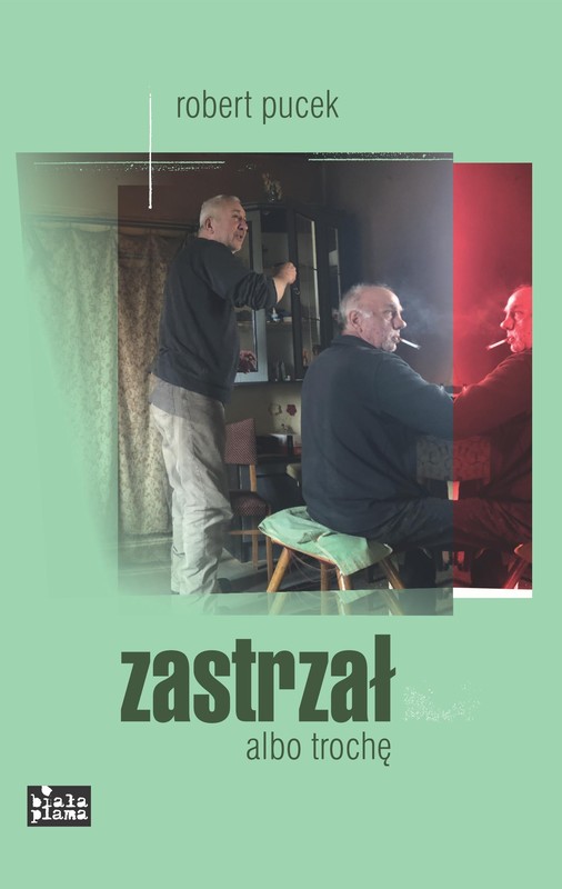 okładka Zastrzał albo trochę ebook | epub, mobi | Robert Pucek