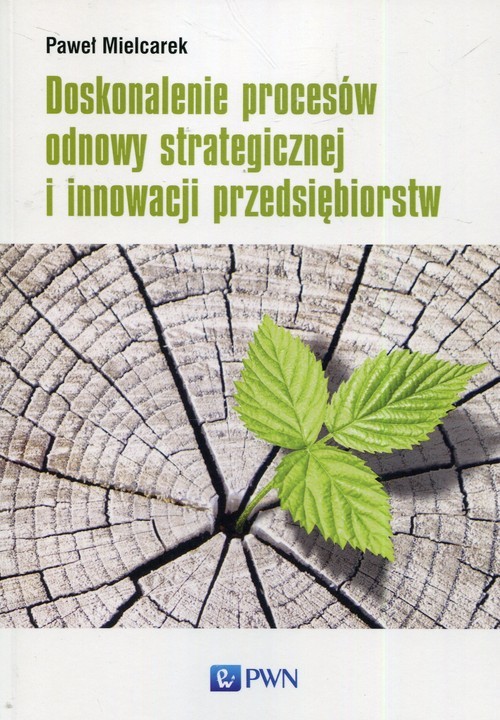 okładka Doskonalenie procesów odnowy strategicznej i innowacji przedsiębiorstw książka | Mielcarek Paweł