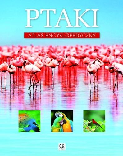 okładka Ptaki atlas encyklopedyczny książka | Opracowanie zbiorowe