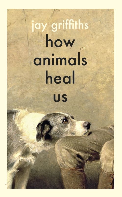 okładka How Animals Heal Us wer. angielska książka | Jay Griffiths