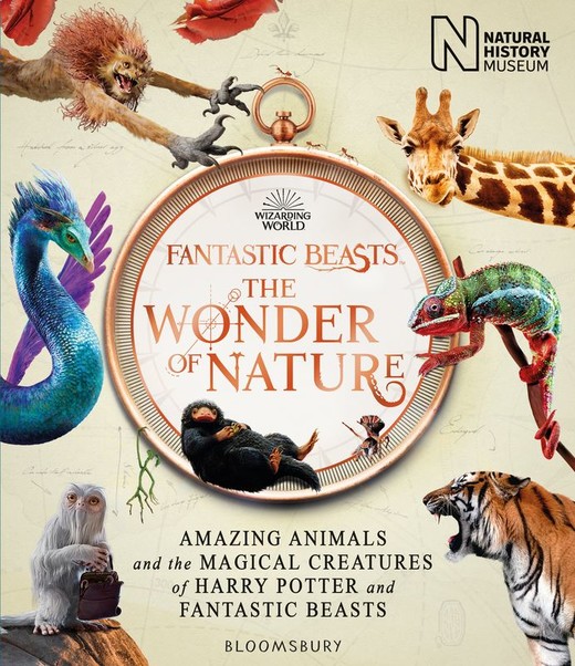 okładka Fantastic Beasts. The Wonder of Nature. Amazing Animals and the Magical Creatures of Harry Potter and Fantastic Beasts wer. angielska książka