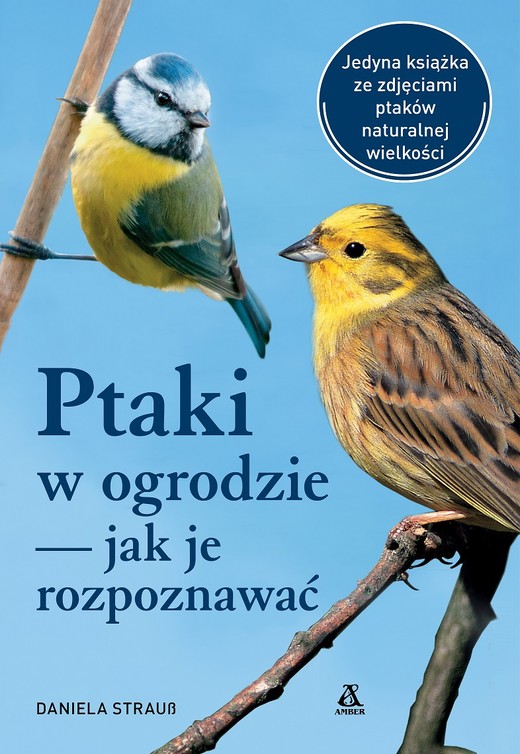 okładka Ptaki w ogrodzie — jak je rozpoznawać wyd. 2025 książka | Daniela Strauss