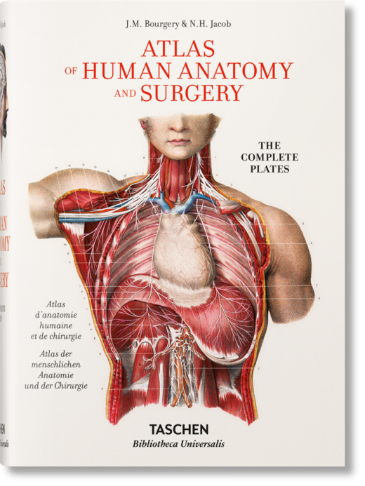 okładka Bourgery. Atlas of Human Anatomy and Surgery wer. angielska książka