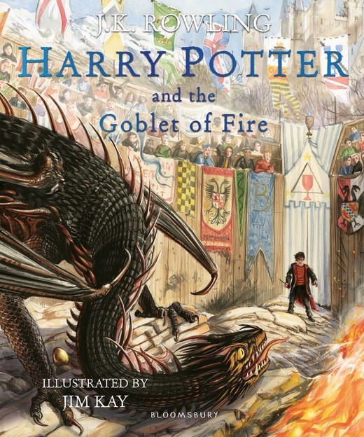 okładka Harry Potter and the Goblet of Fire - Illustrated Edition (PB) wer. angielska książka | Jim Kay
