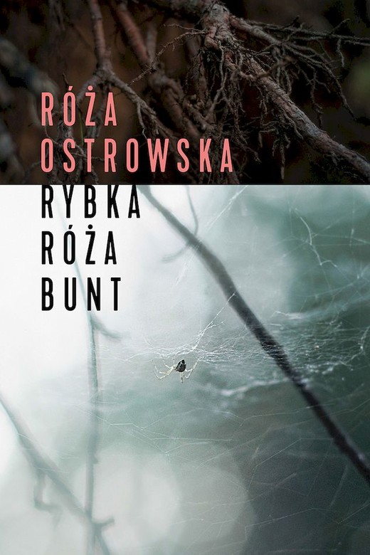 okładka Rybka, róża, bunt książka