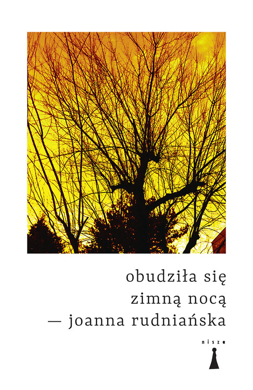 okładka Obudziła się zimną nocą ebook | epub, mobi | Joanna Rudniańska