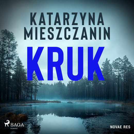 okładka Kruk audiobook | MP3 | Katarzyna Mieszczanin